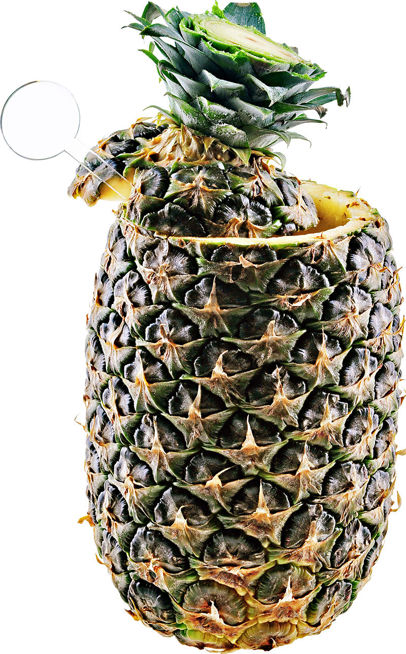Comment préparer le cocktail Piña Colada